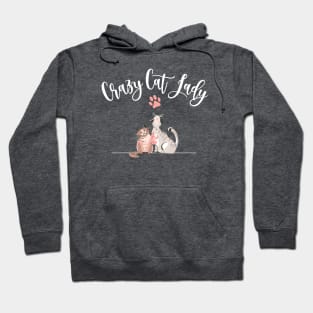 Crazy Cat Lady Funny Hoodie